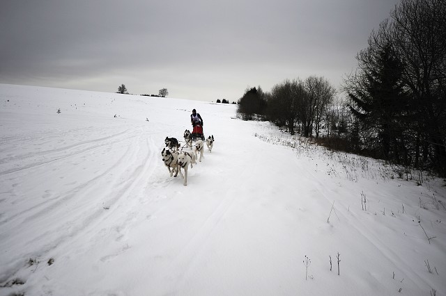 Kynologická revue - www.dogsk.sk