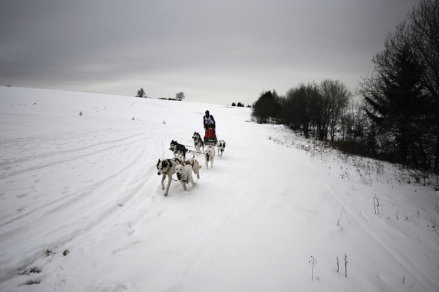 Kynologická revue - www.dogsk.sk