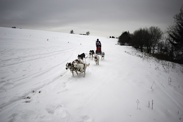 Kynologická revue - www.dogsk.sk