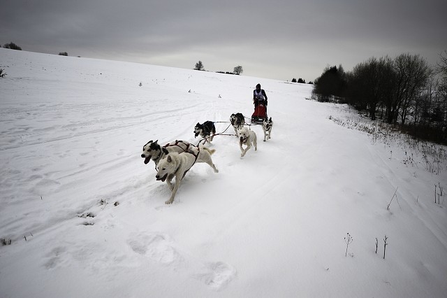 Kynologická revue - www.dogsk.sk