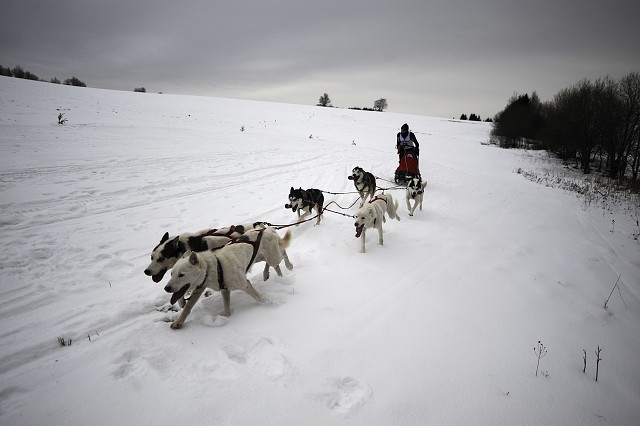 Kynologická revue - www.dogsk.sk