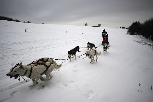 Kynologická revue - www.dogsk.sk
