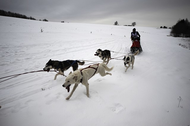 Kynologická revue - www.dogsk.sk