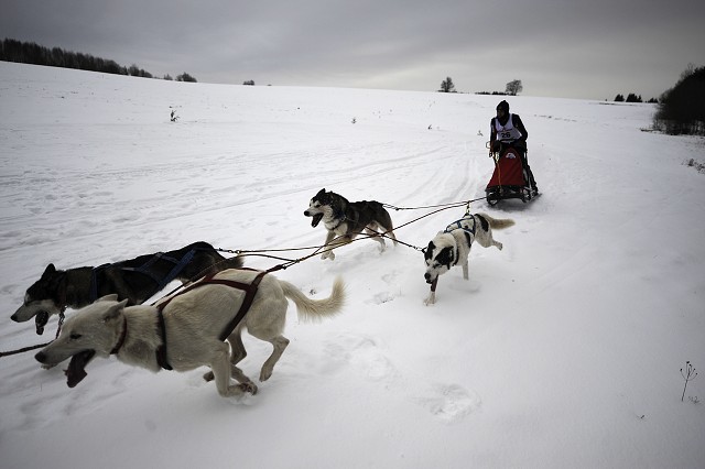 Kynologická revue - www.dogsk.sk