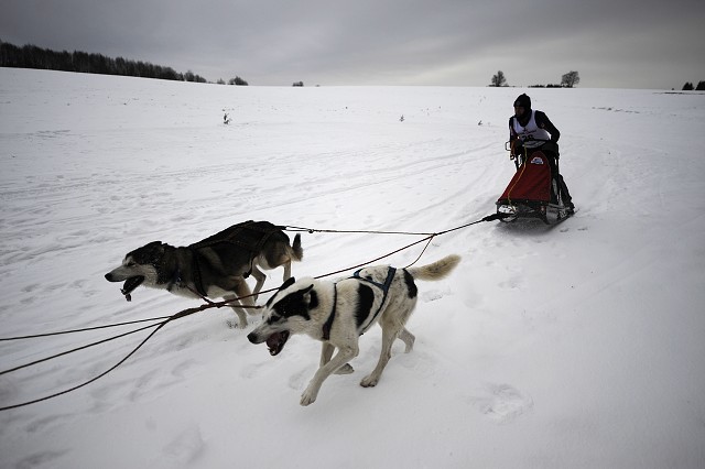 Kynologická revue - www.dogsk.sk