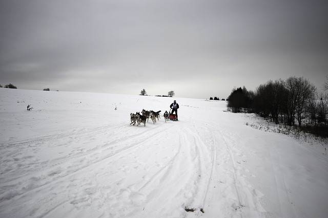 Kynologická revue - www.dogsk.sk