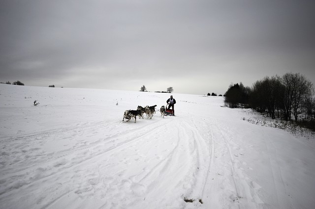 Kynologická revue - www.dogsk.sk