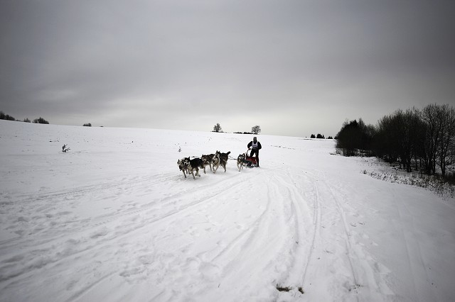 Kynologická revue - www.dogsk.sk