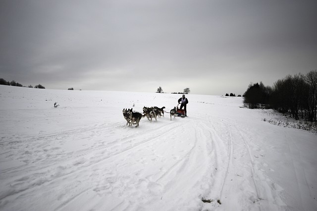 Kynologická revue - www.dogsk.sk
