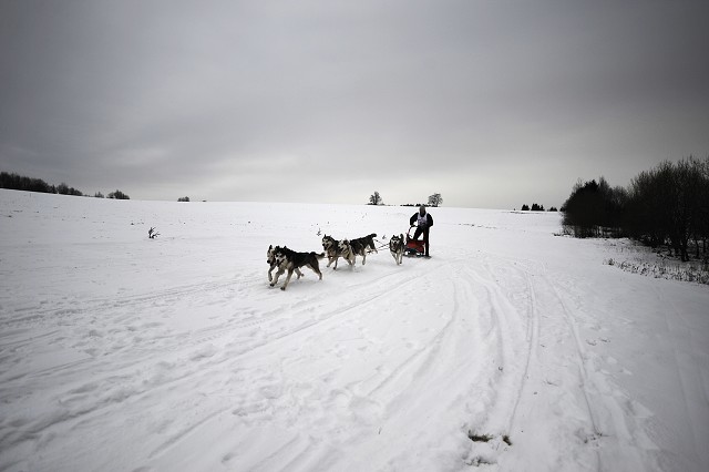 Kynologická revue - www.dogsk.sk