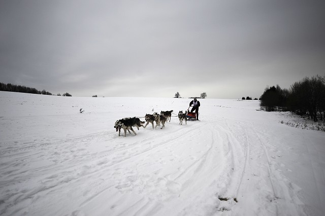 Kynologická revue - www.dogsk.sk