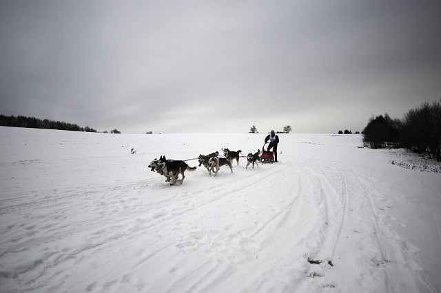 Kynologická revue - www.dogsk.sk