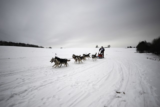 Kynologická revue - www.dogsk.sk