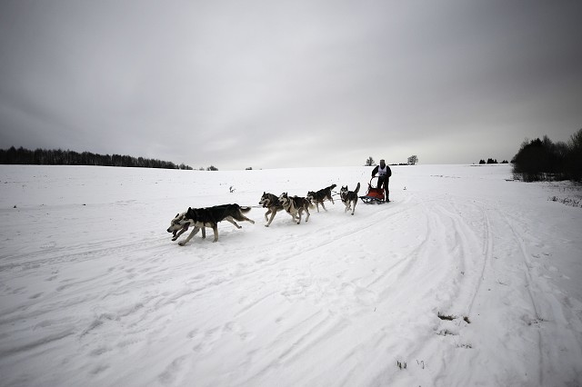 Kynologická revue - www.dogsk.sk