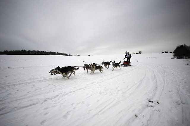 Kynologická revue - www.dogsk.sk