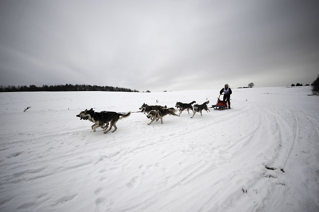 Kynologická revue - www.dogsk.sk