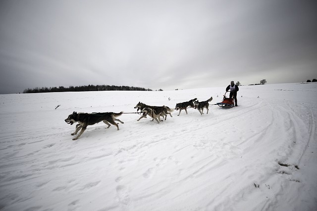 Kynologická revue - www.dogsk.sk