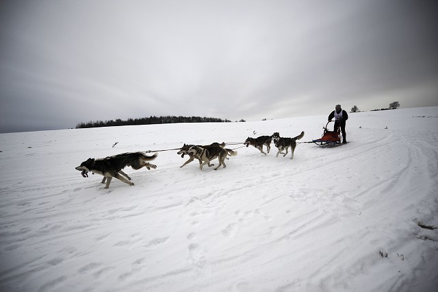 Kynologická revue - www.dogsk.sk
