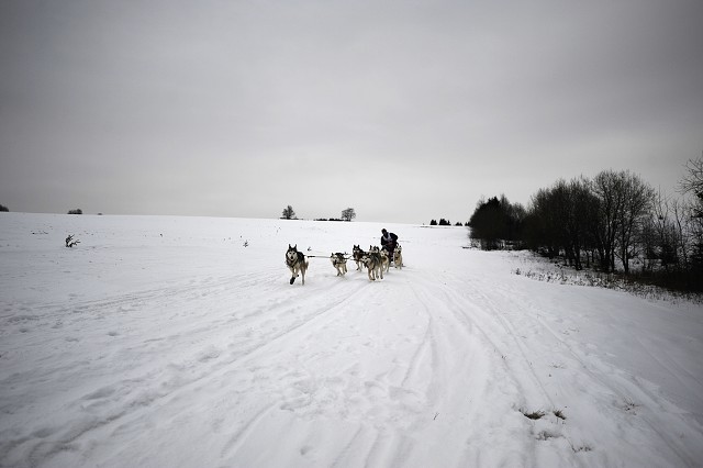 Kynologická revue - www.dogsk.sk