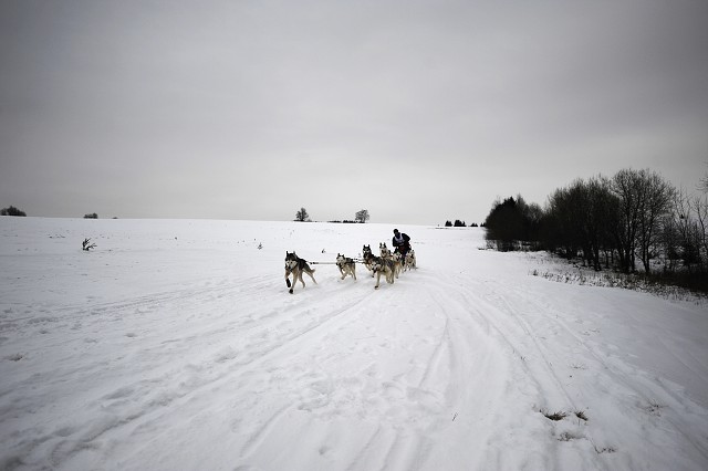 Kynologická revue - www.dogsk.sk