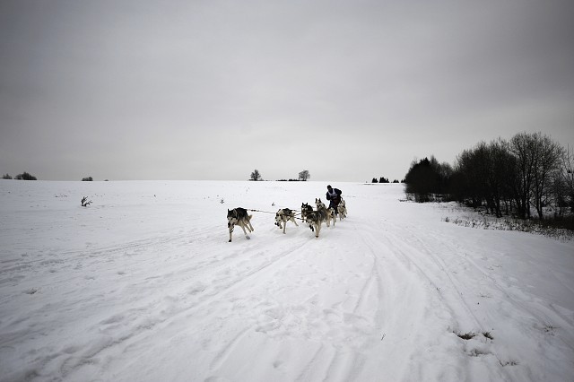Kynologická revue - www.dogsk.sk