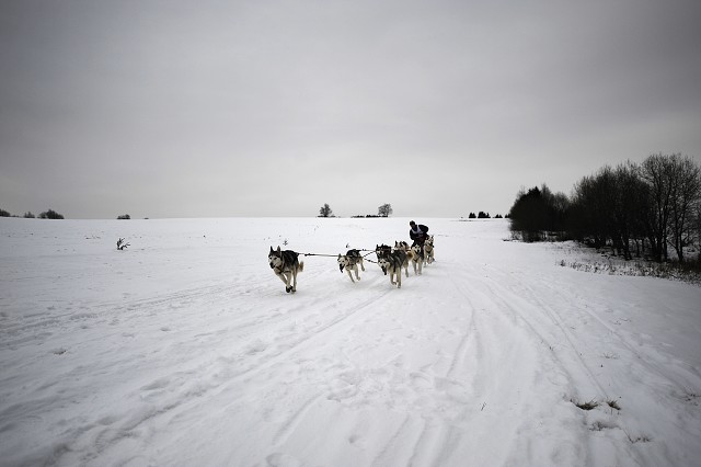 Kynologická revue - www.dogsk.sk