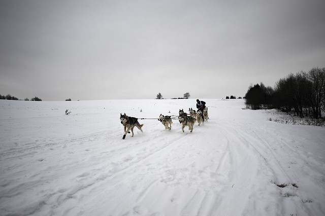 Kynologická revue - www.dogsk.sk