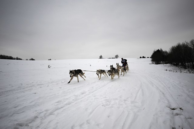 Kynologická revue - www.dogsk.sk