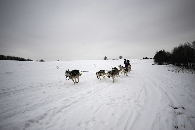 Kynologická revue - www.dogsk.sk