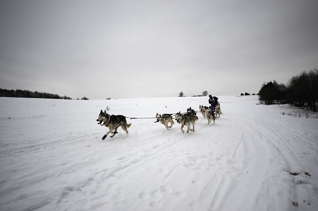 Kynologická revue - www.dogsk.sk
