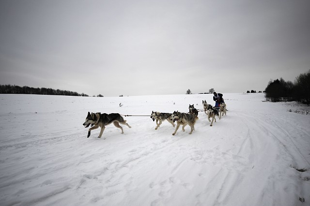 Kynologická revue - www.dogsk.sk