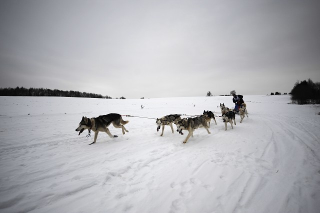 Kynologická revue - www.dogsk.sk