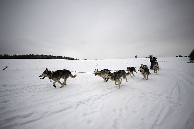 Kynologická revue - www.dogsk.sk
