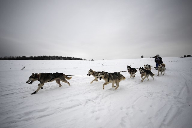 Kynologická revue - www.dogsk.sk