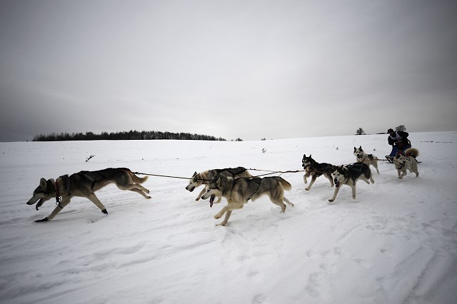 Kynologická revue - www.dogsk.sk