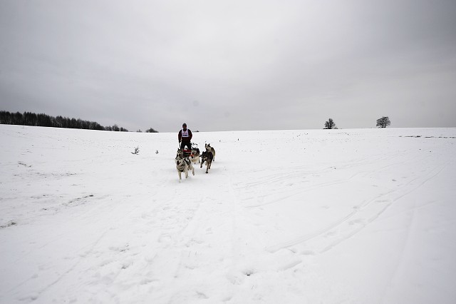 Kynologická revue - www.dogsk.sk