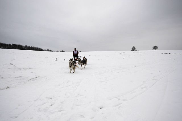 Kynologická revue - www.dogsk.sk