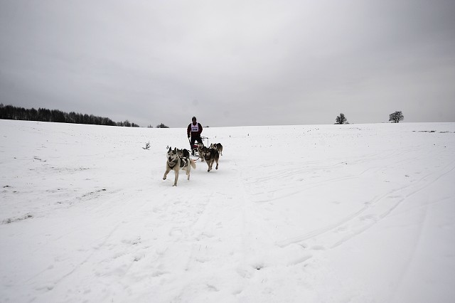 Kynologická revue - www.dogsk.sk