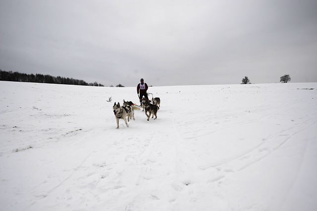Kynologická revue - www.dogsk.sk
