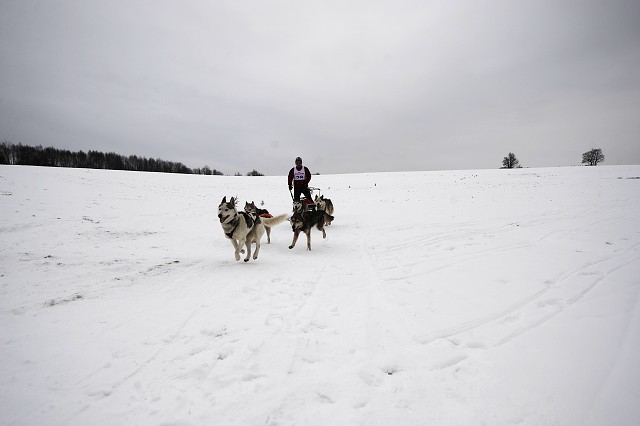 Kynologická revue - www.dogsk.sk