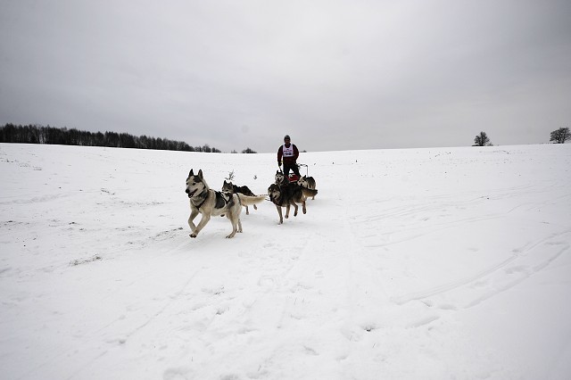 Kynologická revue - www.dogsk.sk