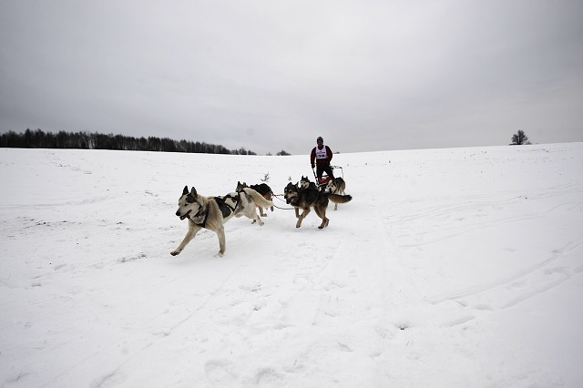 Kynologická revue - www.dogsk.sk