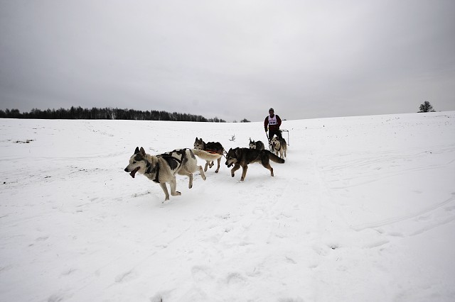 Kynologická revue - www.dogsk.sk