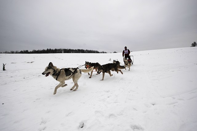 Kynologická revue - www.dogsk.sk