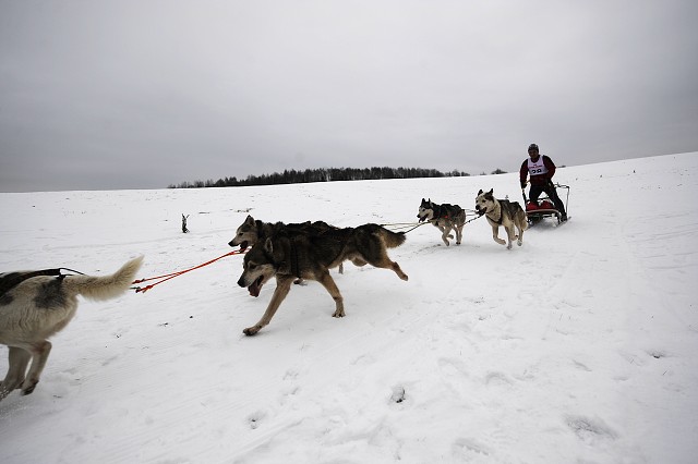 Kynologická revue - www.dogsk.sk