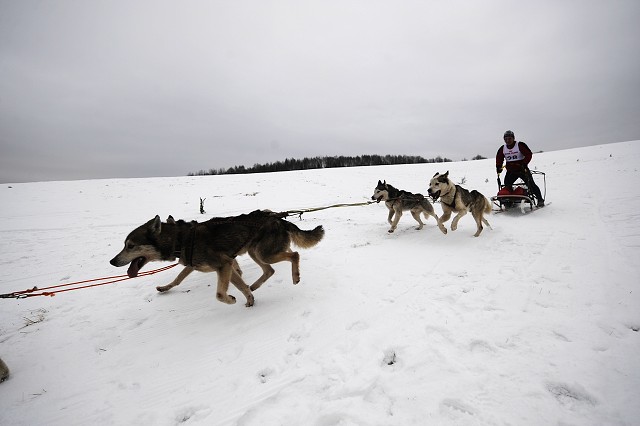 Kynologická revue - www.dogsk.sk