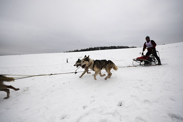 Kynologická revue - www.dogsk.sk