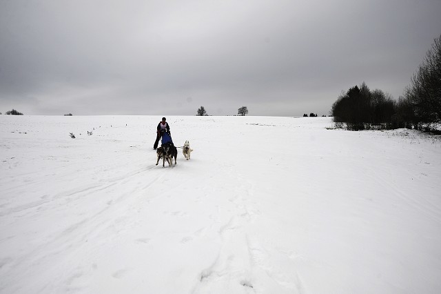 Kynologická revue - www.dogsk.sk