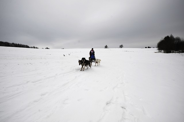 Kynologická revue - www.dogsk.sk
