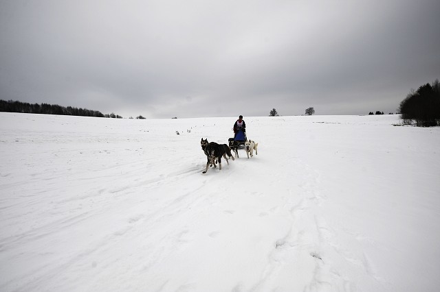 Kynologická revue - www.dogsk.sk